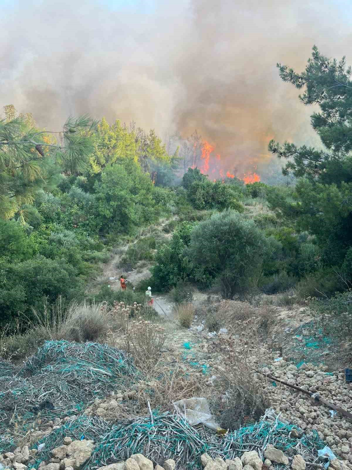 Antalya&rsquo;da orman yangını
