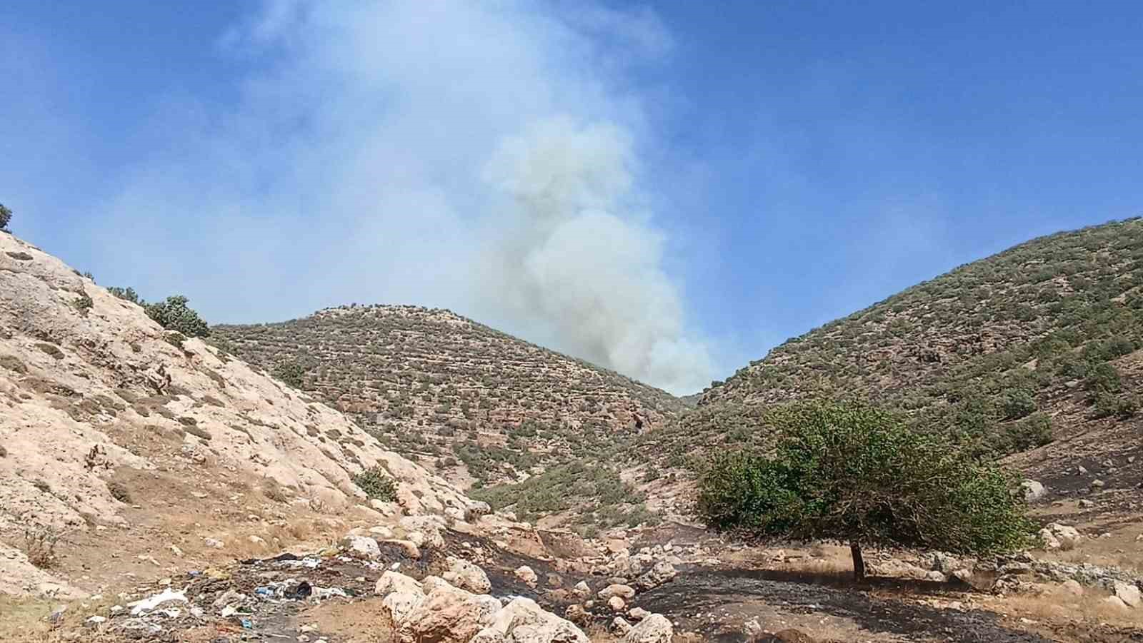 Mardin’de orman yangını