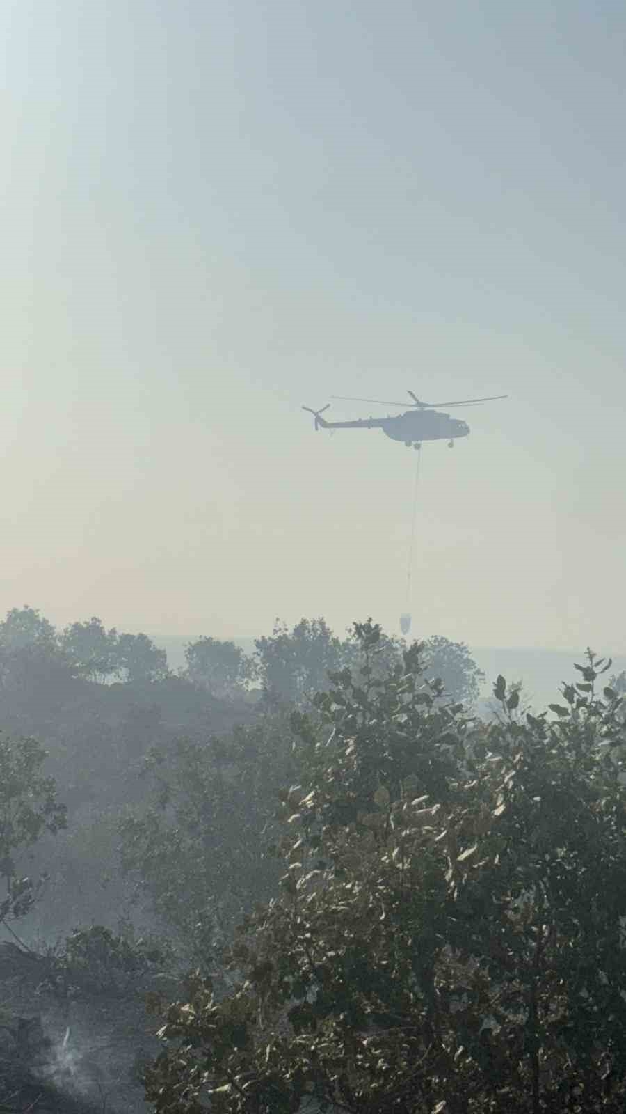 Mardin&rsquo;de orman yangını
