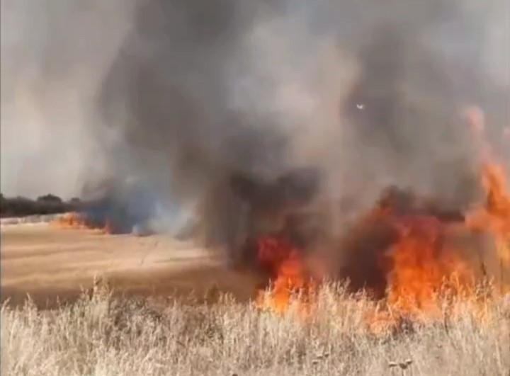 Edirne’de buğday tarlaları alev alev yandı
