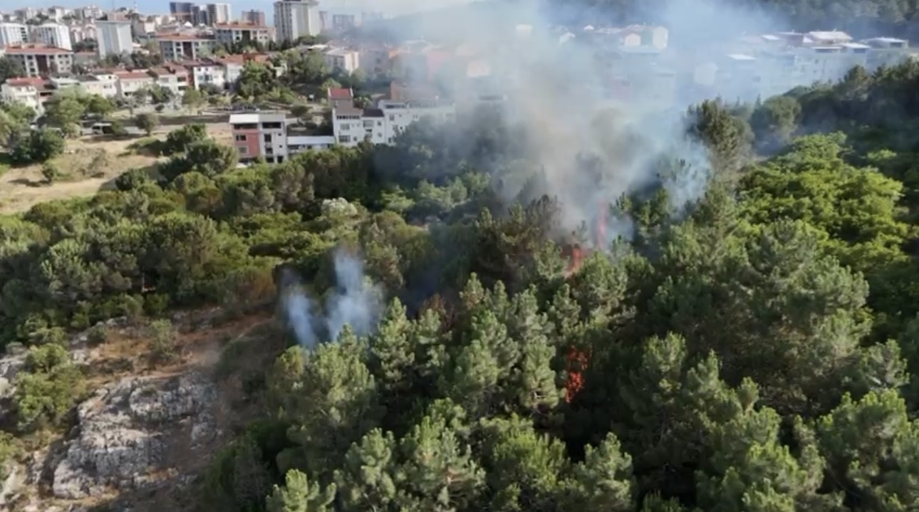 Pendik’te ormanlık alanda çıkan yangın söndürüldü