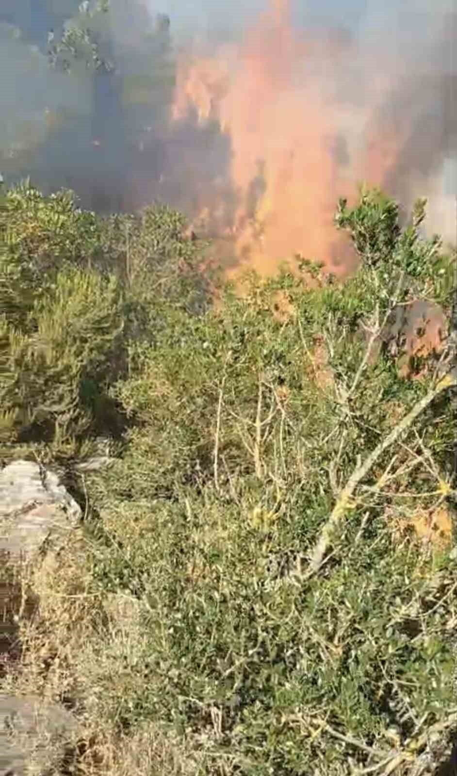 Pendik&rsquo;te ormanlık alanda &ccedil;ıkan yangın s&ouml;nd&uuml;r&uuml;ld&uuml;
