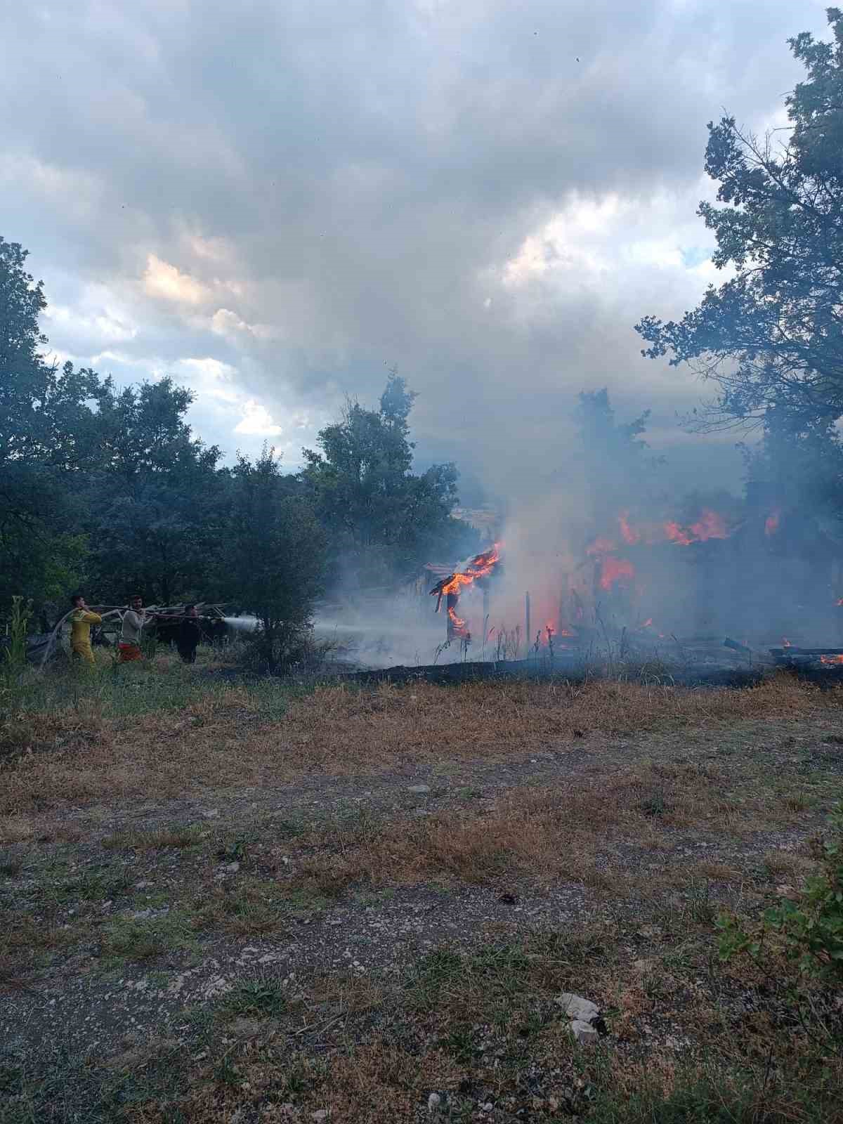 Domani&ccedil;&rsquo;te baraka yangını korkuttu
