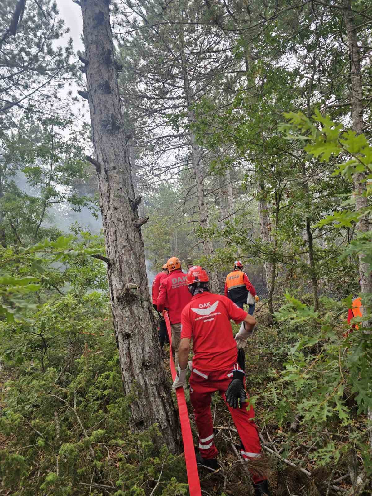 Dorlion ekipleri Bilecik yangınında destek oldu
