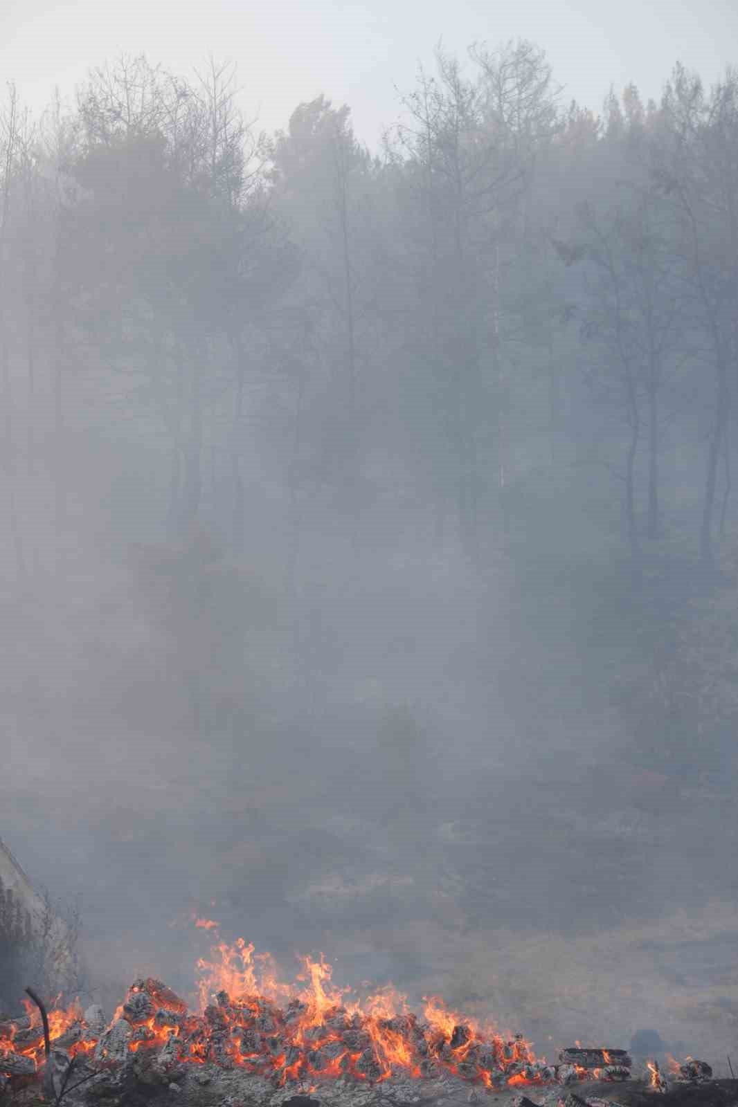 İzmir&rsquo;deki orman yangını haberlerini izlerken alevleri kapısında buldu
