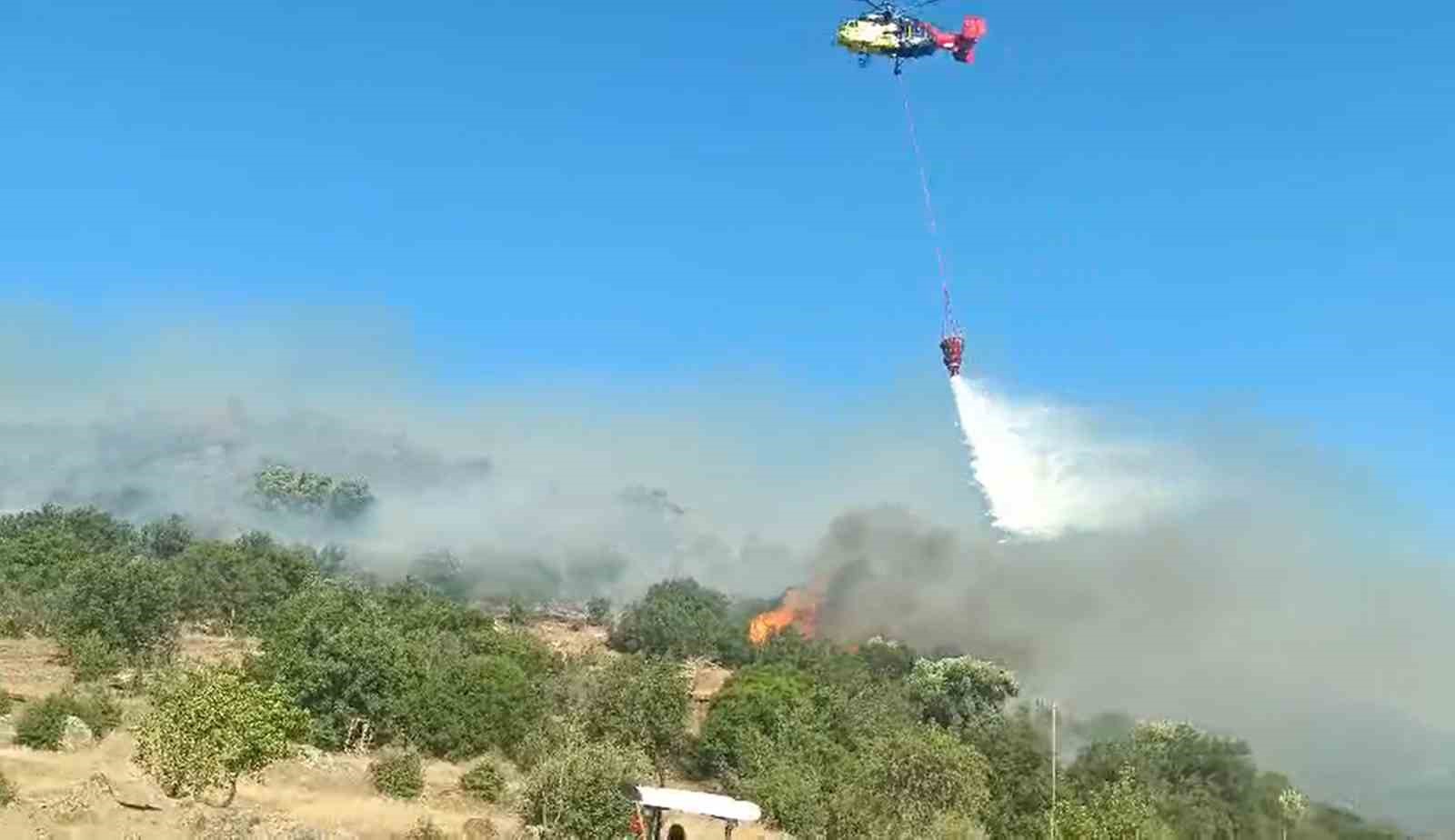 Aydın’da makilik alandaki yangın kontrol altına alındı
