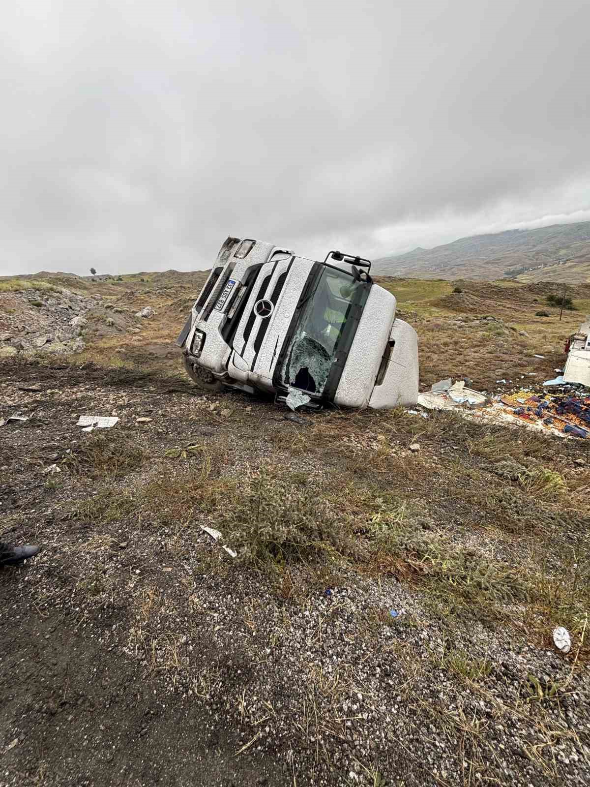 Yoldan çıkan meyve yüklü tır devrildi, sürücüsü yaralandı