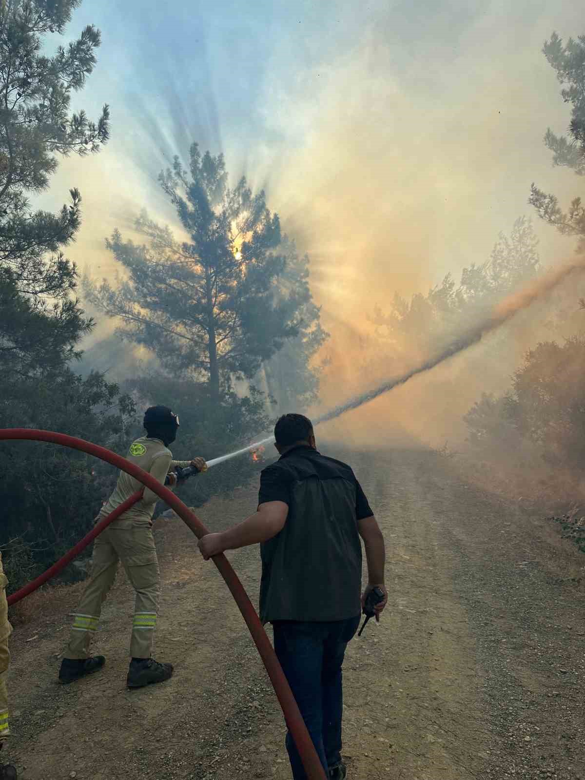 Antalya Gazipaşa’da orman yangını