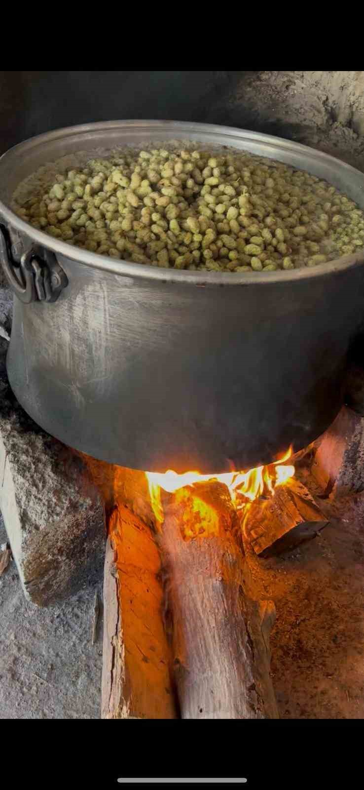 Tarım Müdürü Akar’dan kışa tatlı hazırlık
