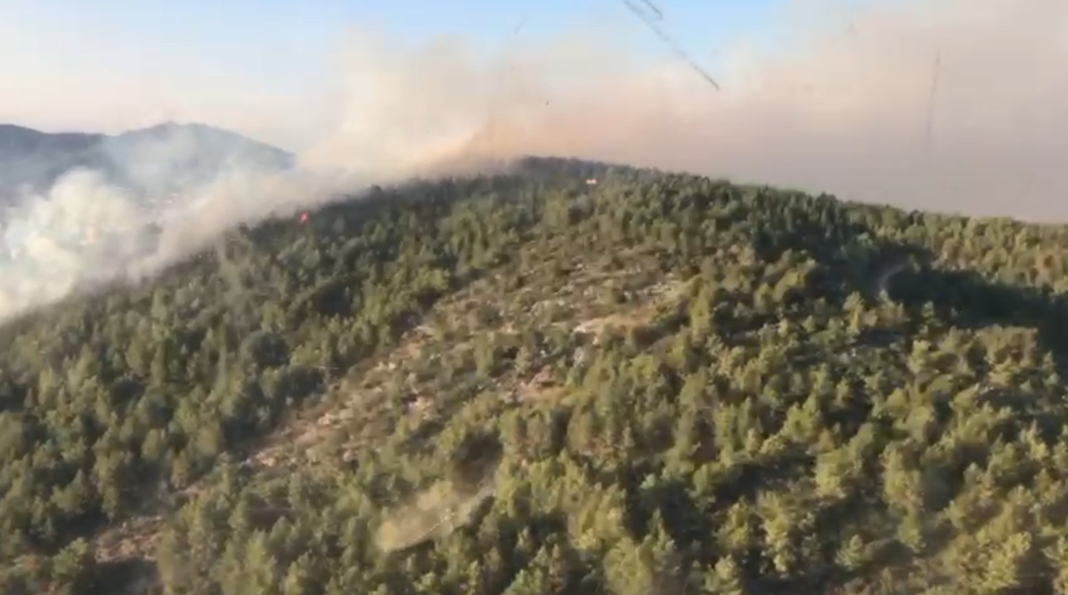 Antalya&rsquo;daki orman yangını 3 saatte kontrol altına alındı
