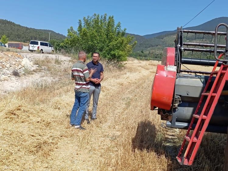 Gölpazarı’nda hasat ve biçerdöver denetimleri sürüyor