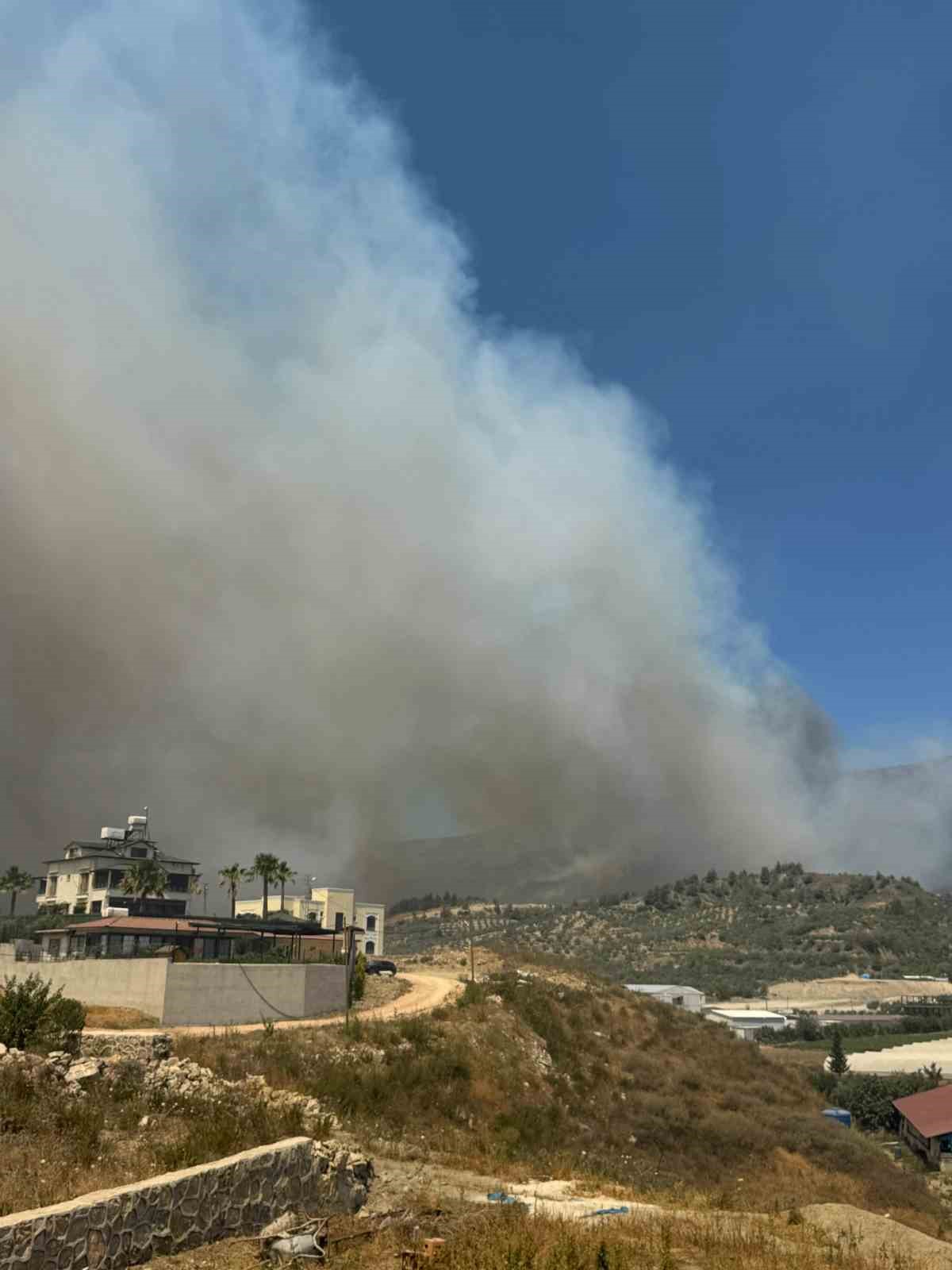 Hatay&rsquo;da orman yangını
