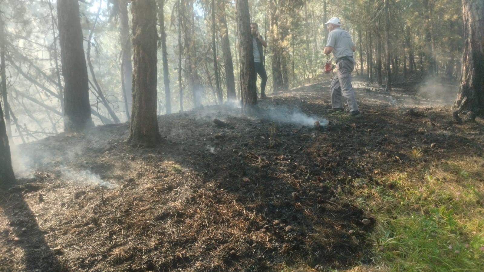 Ormanlık alandaki örtü yangını zamanında müdahaleyle söndürüldü