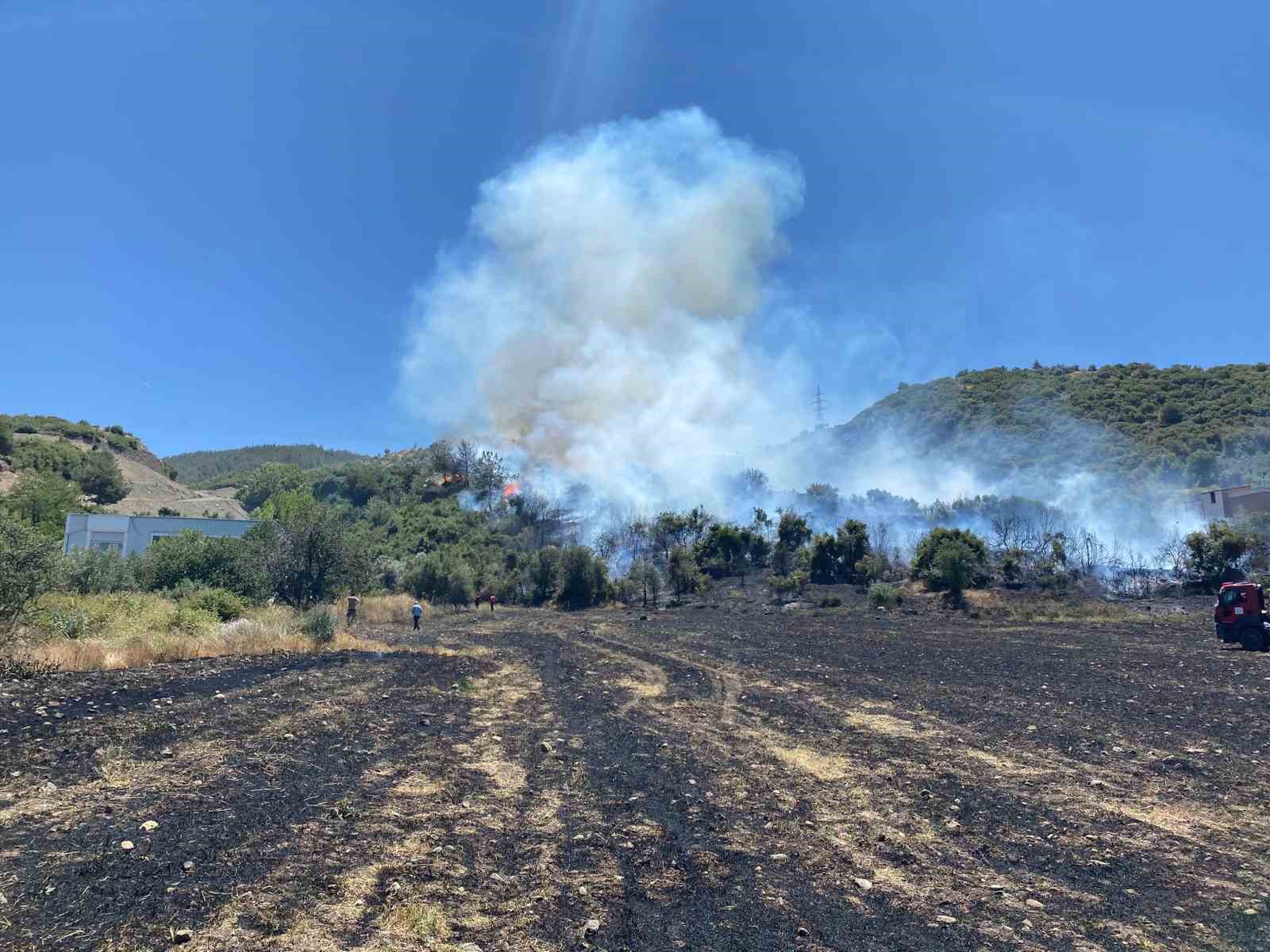 Osmaniye’deki anız yangını ormana sıçradı