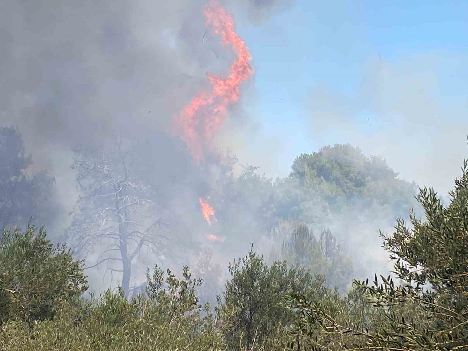 Antalya&rsquo;da ormanlık alanda yangın
