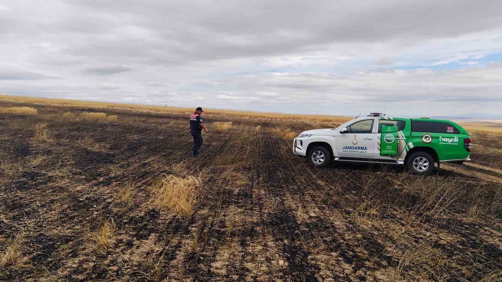 Yangın sonrası doğadaki canlılar kontrol edildi