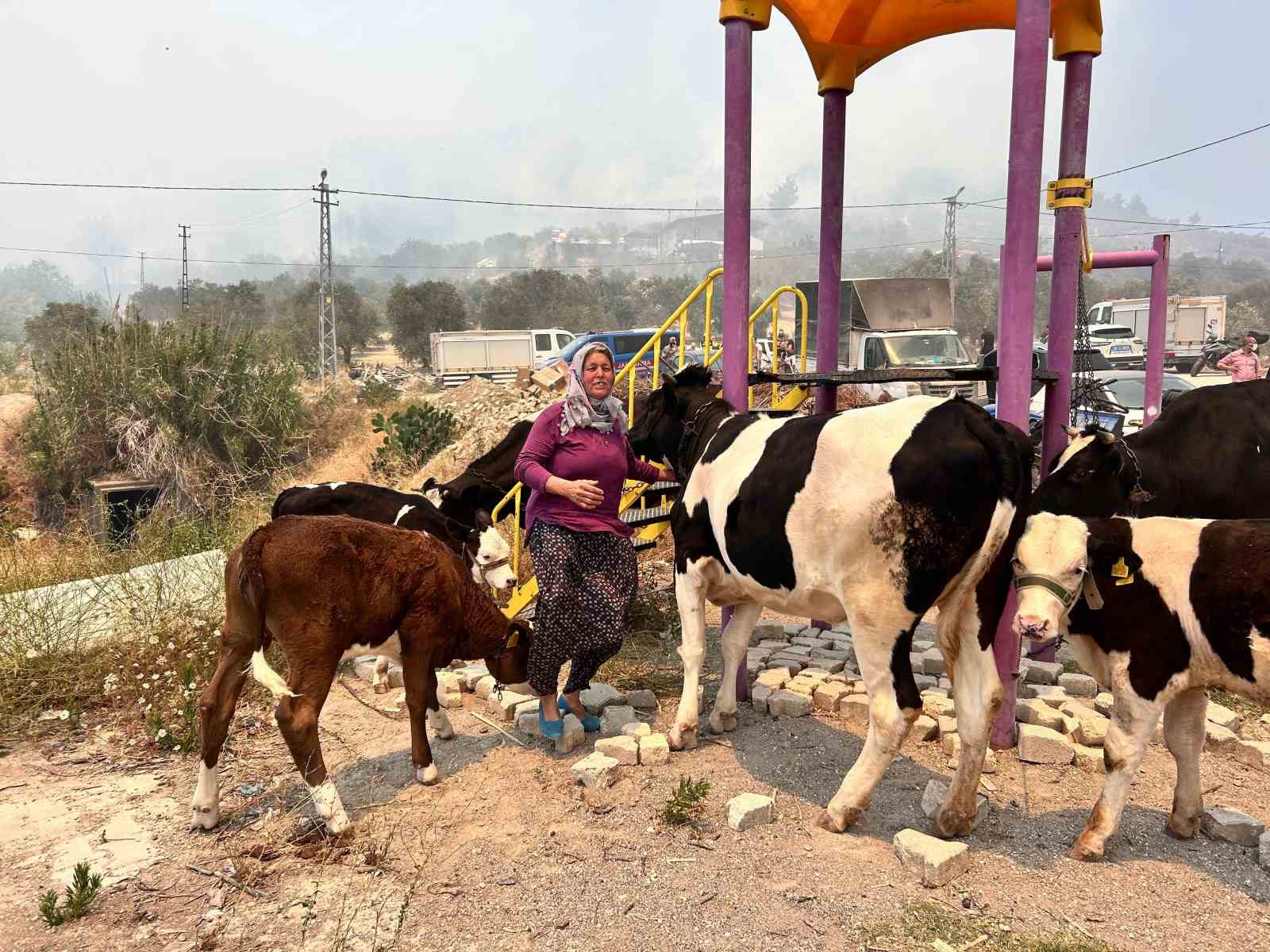 Alevlerin sıçradığı ahırından ekiplerin yardımıyla hayvanları kurtardı