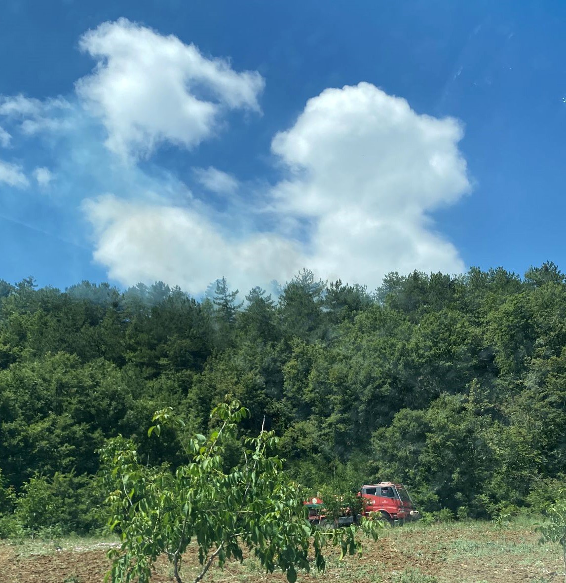 Gölpazarı’nda yangın bölgesinde alevler yeniden yükseldi, ekipler harekete geçti