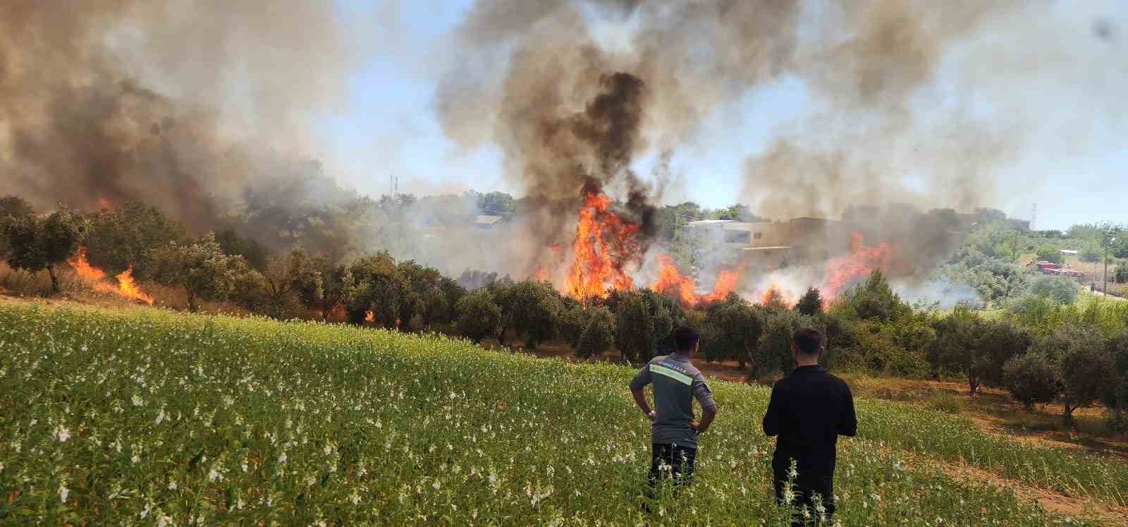 Antalya&rsquo;da ormanlık ve kırsal alanda &ccedil;ıkan yangın kontrol altına alındı
