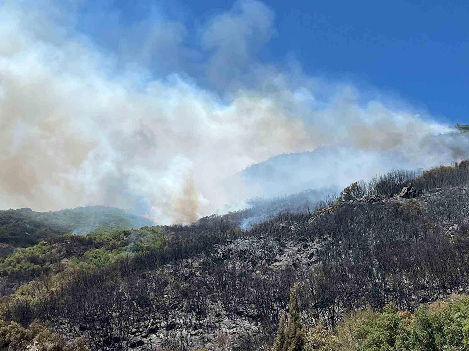 Zirai alanda başlayan yangın ormana sıçradı
