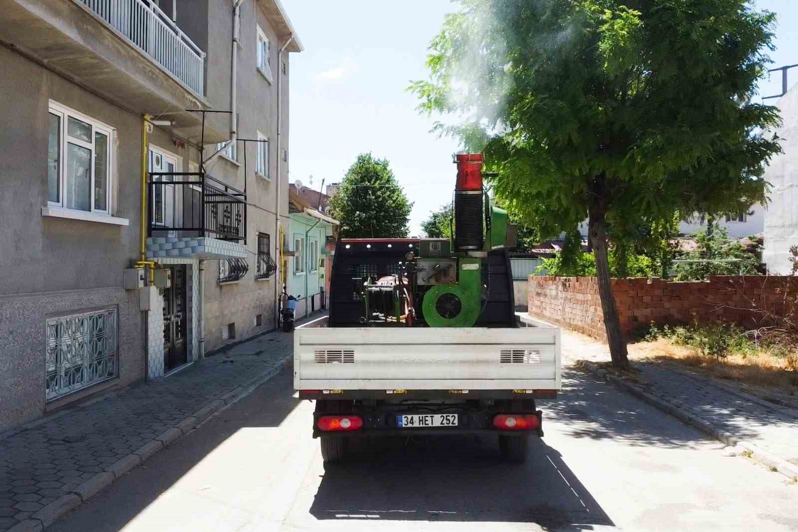 Tepebaşı haşerelere karşı sahada