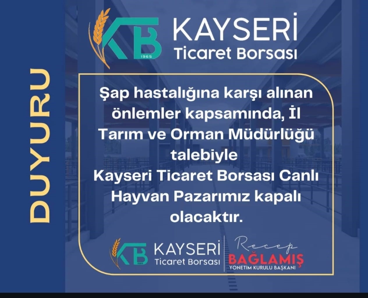 KTB Canlı Hayvan Pazarı’nda ’şap hastalığı’ önlemi