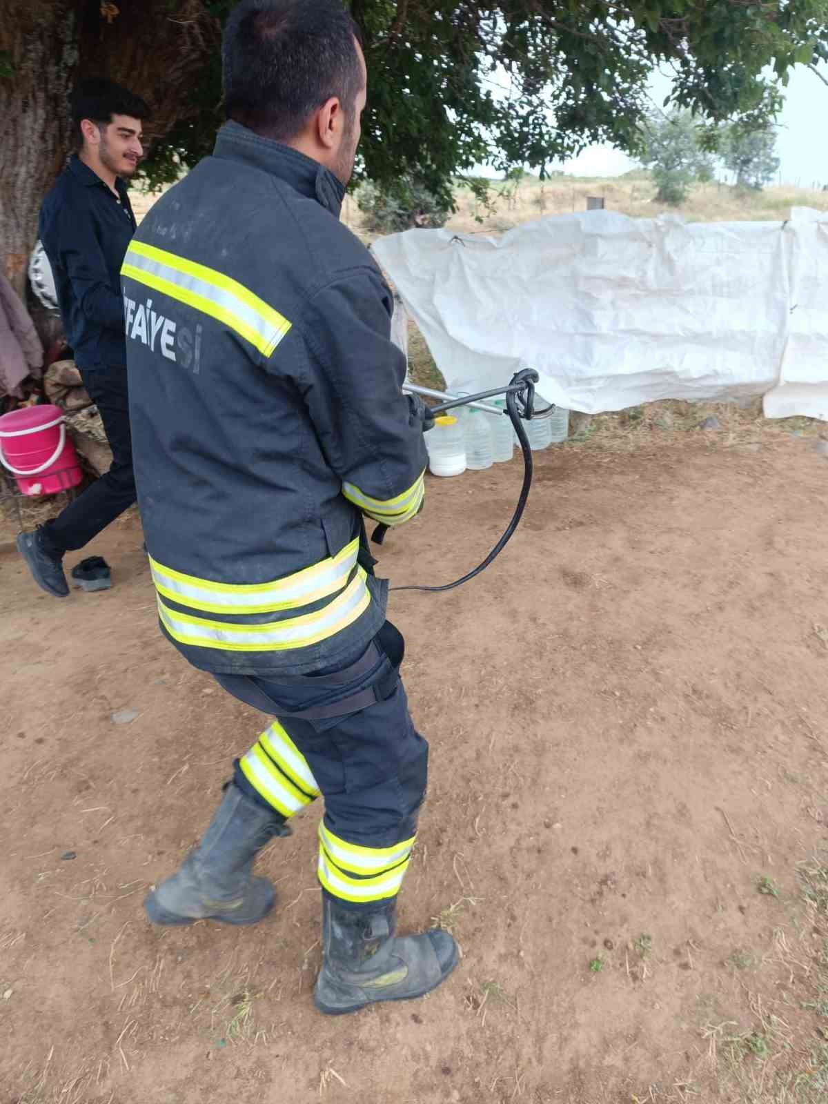 &Ccedil;adıra giren yılan paniğe neden oldu
