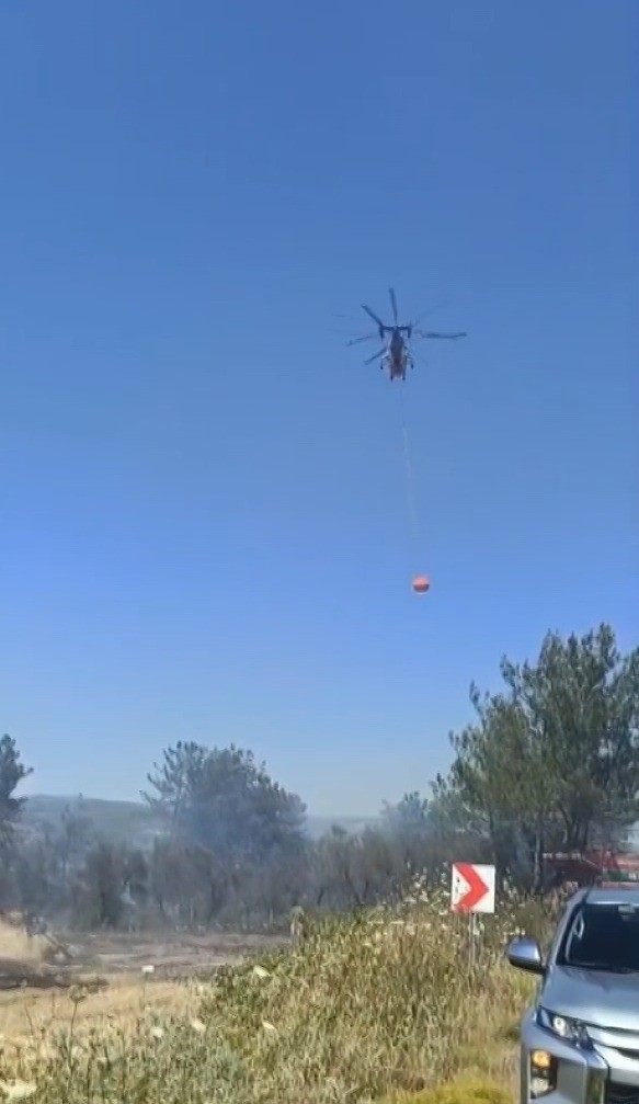 Milas&rsquo;taki yangına m&uuml;dahale s&uuml;r&uuml;yor
