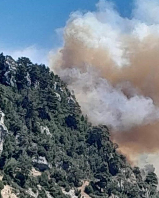 Mersin Bozyazı’da orman yangınına ekipler müdahale ediyor