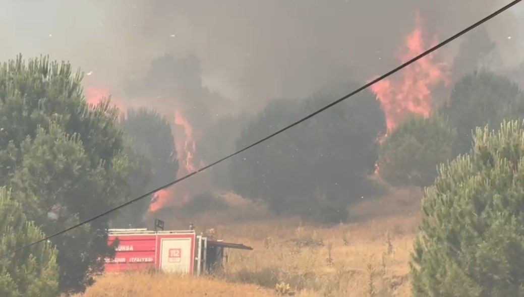 Bursa İznik&rsquo;te b&uuml;y&uuml;k orman yangını
