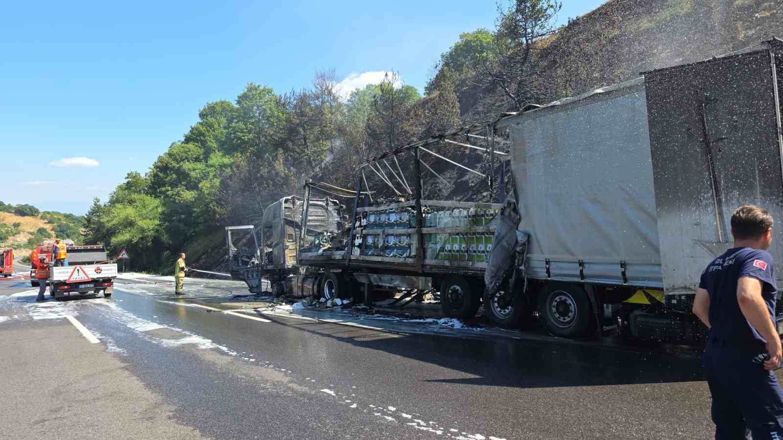 Motor yağı yüklü tır alev alev yandı, ormana sıçrayan yangın güçlükle söndürüldü