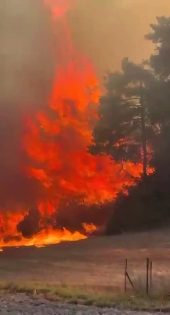 Adana’da orman yangını