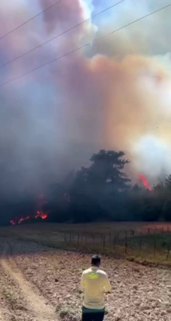 Adana&rsquo;da orman yangını
