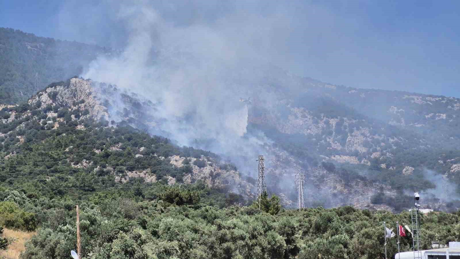 Bodrum’daki yangın kontrol altına alındı