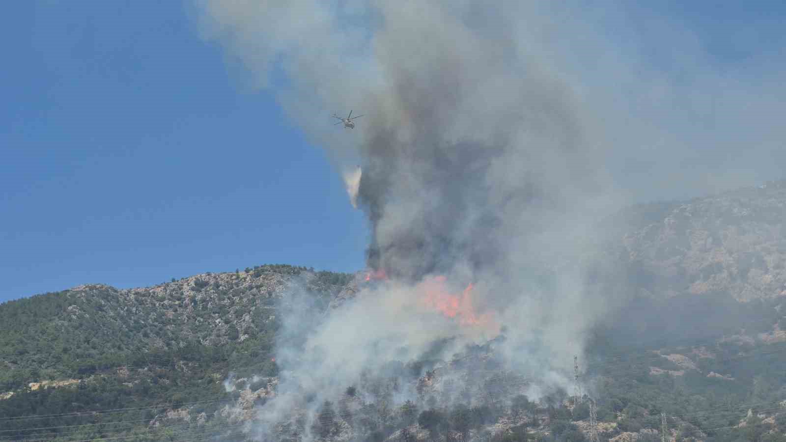 Bodrum’daki yangın kontrol altına alındı