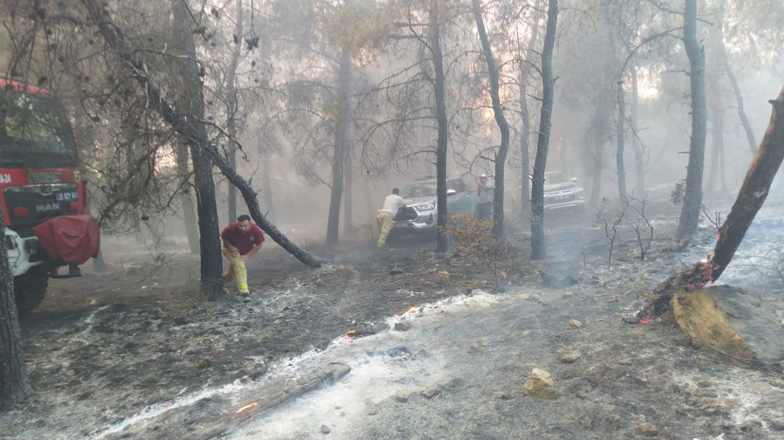 Aliağa ve Foça’da orman yangınında ekiplerin zorlu mücadelesi