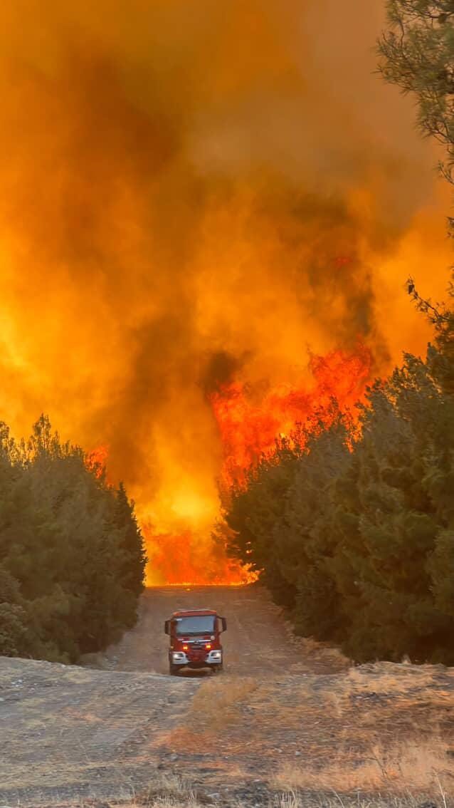 Aliağa ve Fo&ccedil;a&rsquo;da orman yangınında ekiplerin zorlu m&uuml;cadelesi
