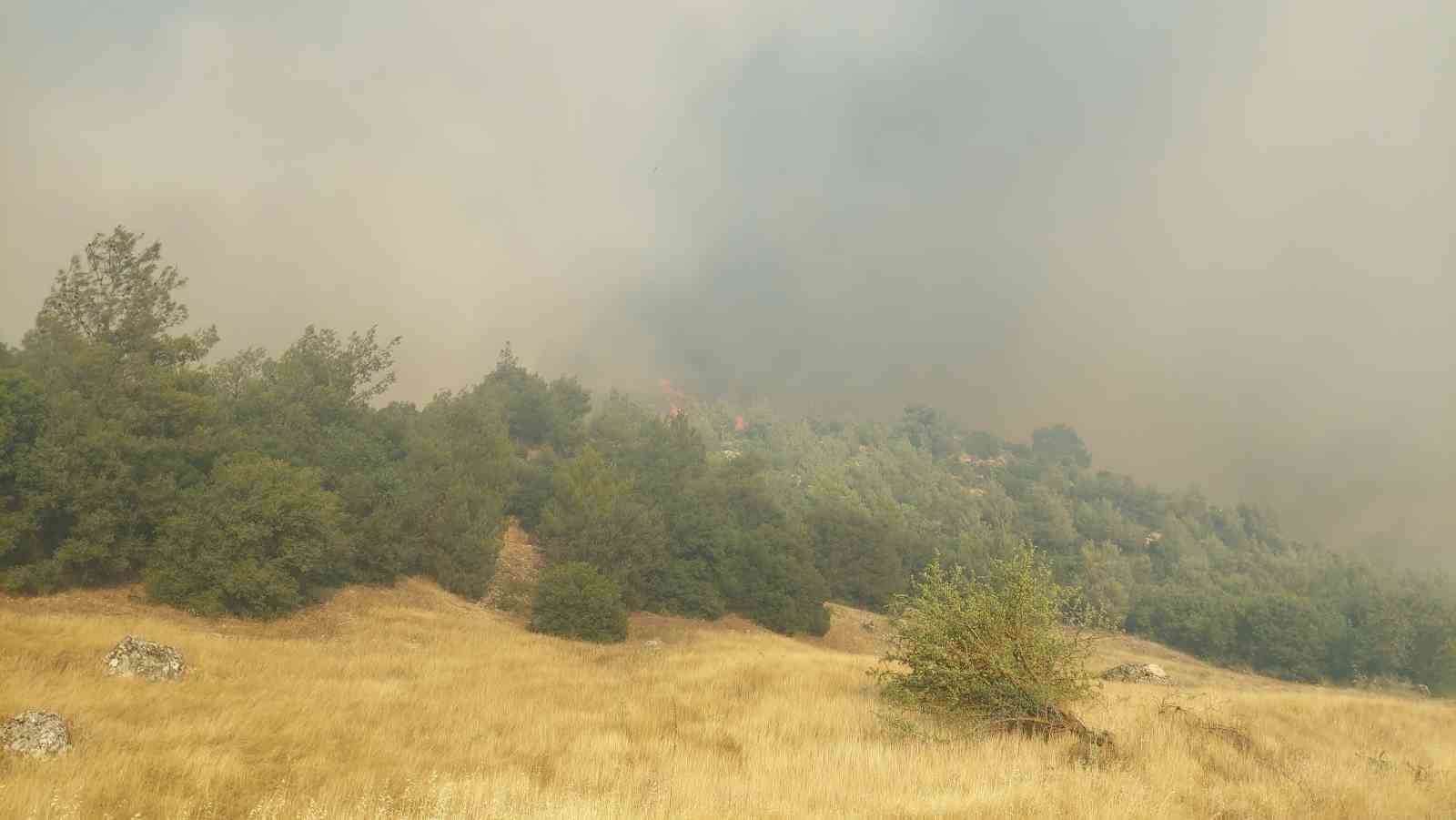 Kula’daki orman yangını için ekipler ve vatandaşlar seferber oldu
