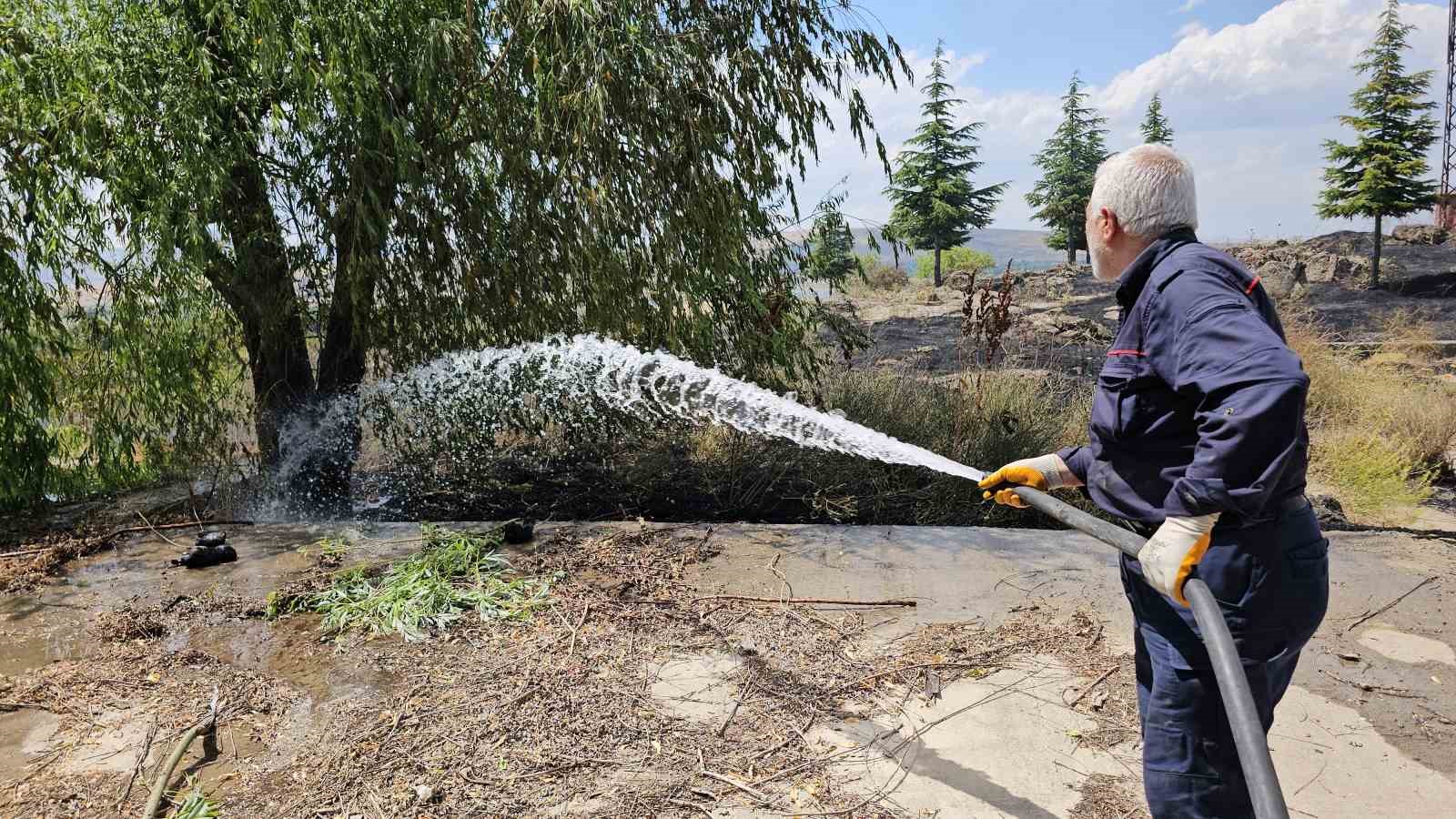 Tatvan’da çıkan yangında 50 dönümlük alan küle döndü