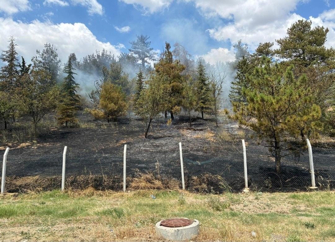 Babaeski’de çamlık alanda çıkan yangın söndürüldü