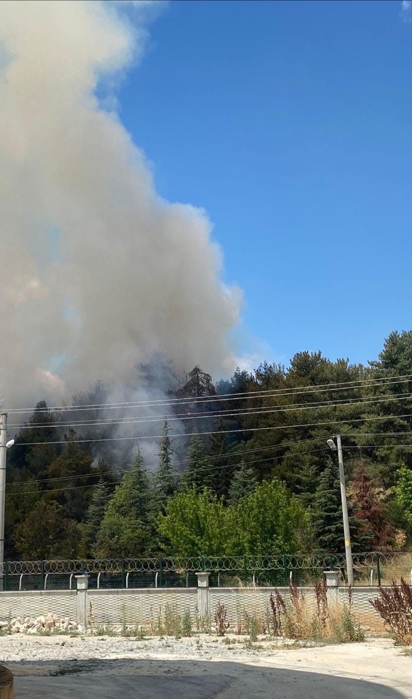 Babaeski’de çamlık alanda çıkan yangın söndürüldü