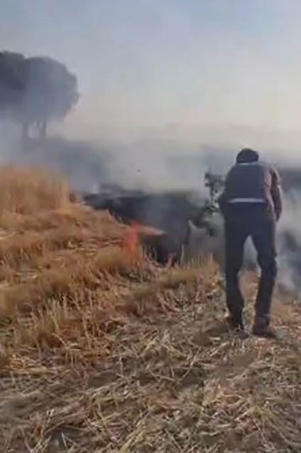 Diyarbakır’da vatandaşlar ağaç dallarını kopararak yangını söndürmeye çalıştı