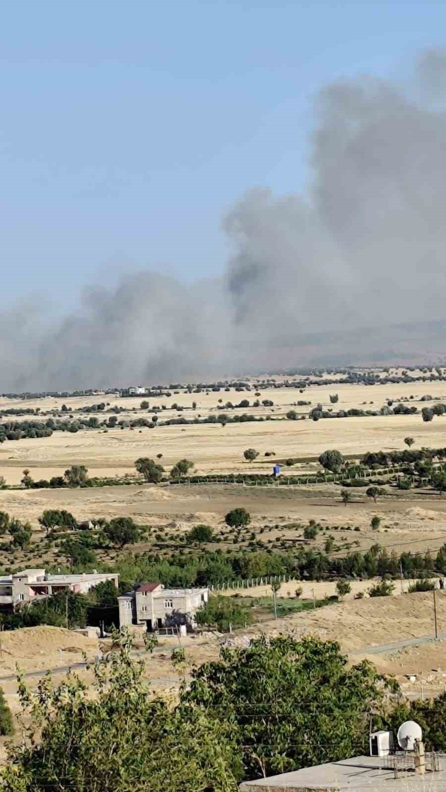 Diyarbakır’da vatandaşlar ağaç dallarını kopararak yangını söndürmeye çalıştı
