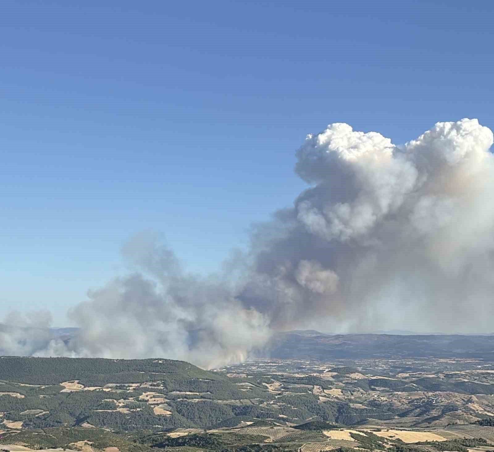 Manisa’nın farklı bir noktasında daha orman yangını çıktı