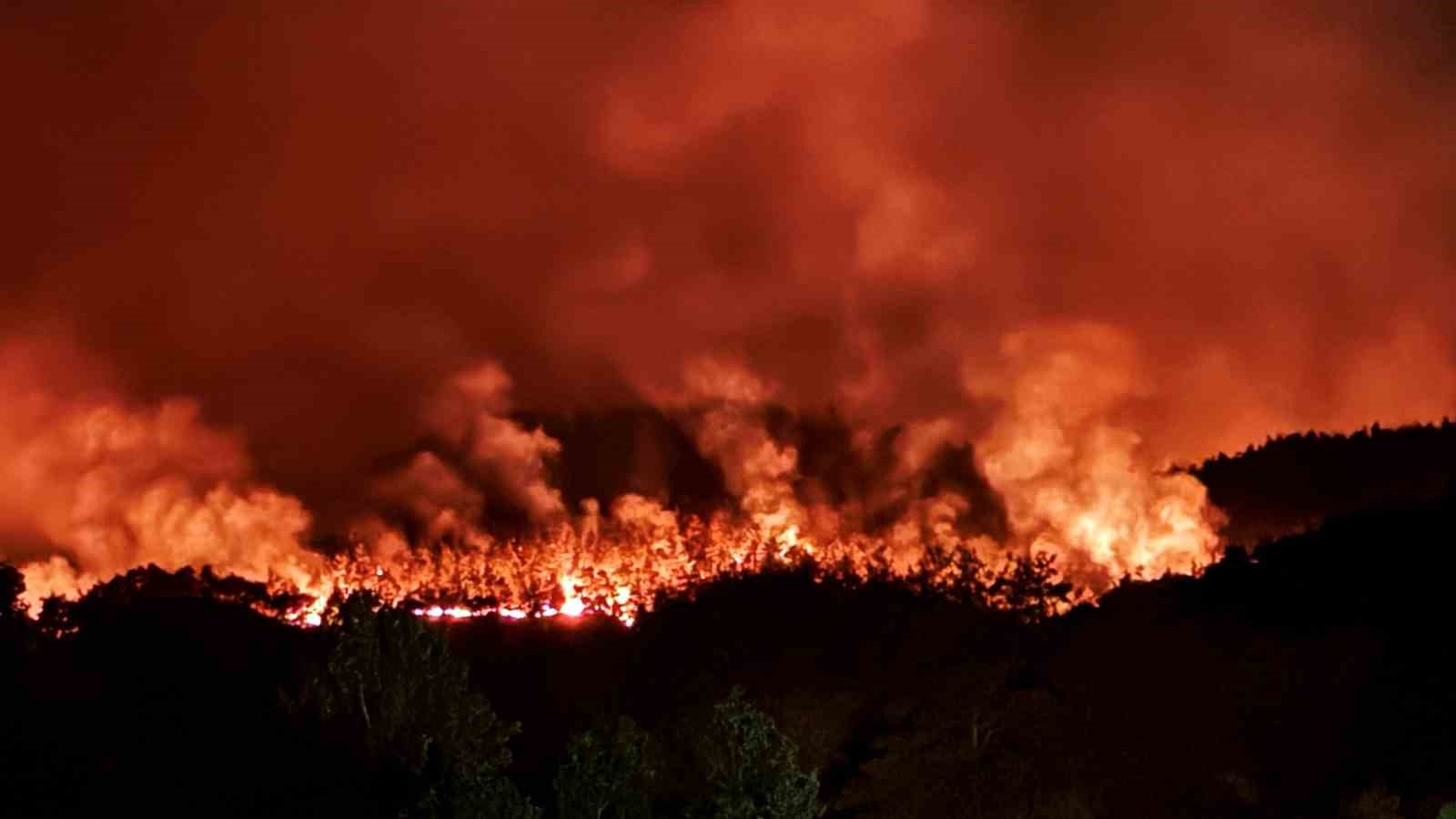 Taraklı’daki orman yangınına ilişkin gözaltına alınanlar serbest bırakıldı