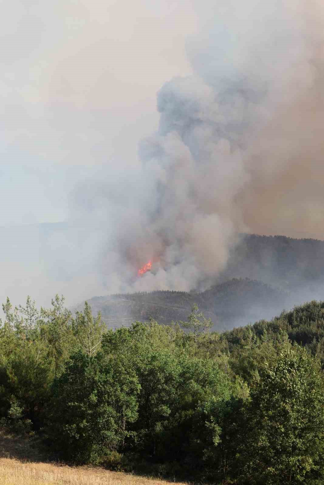 Taraklı&rsquo;daki orman yangınına ilişkin g&ouml;zaltına alınanlar serbest bırakıldı
