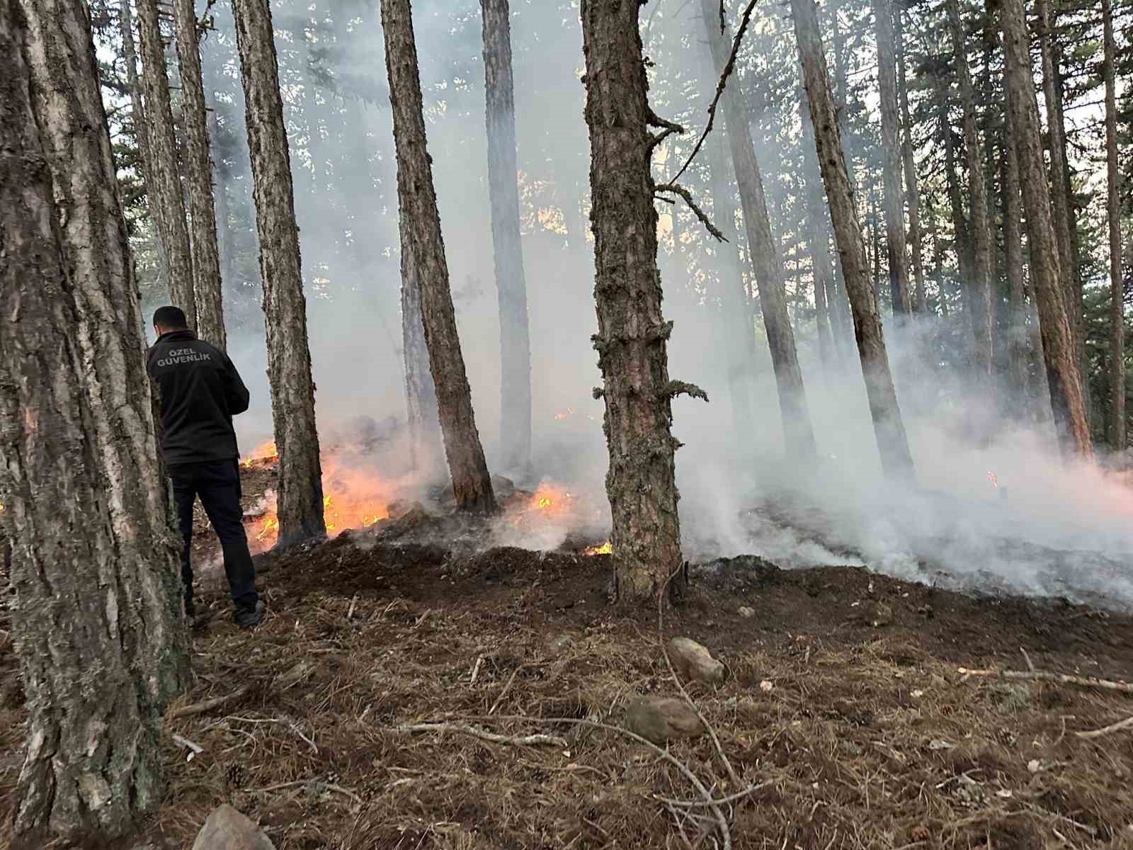 Kızılcahamam Soğuksu Milli Parkı’nda piknikçi ateşinden yangın çıktı