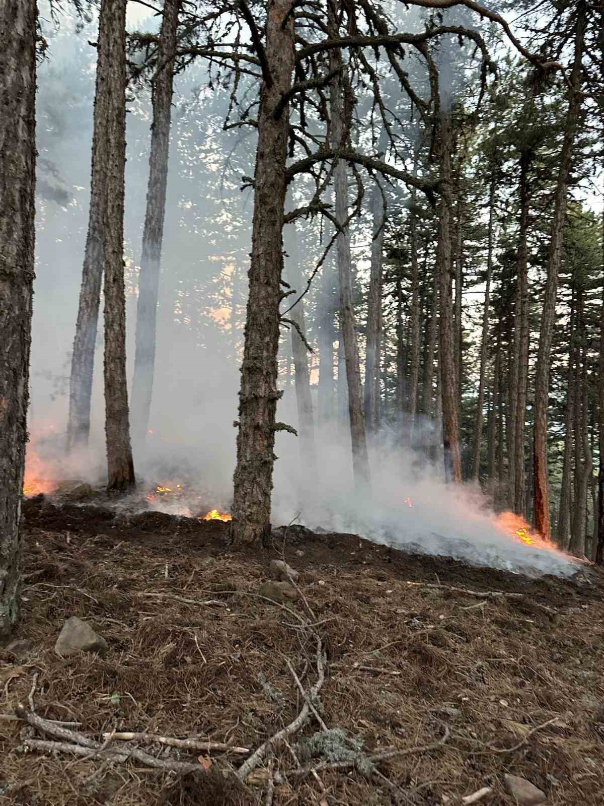 Kızılcahamam Soğuksu Milli Parkı&rsquo;nda piknik&ccedil;i ateşinden yangın &ccedil;ıktı
