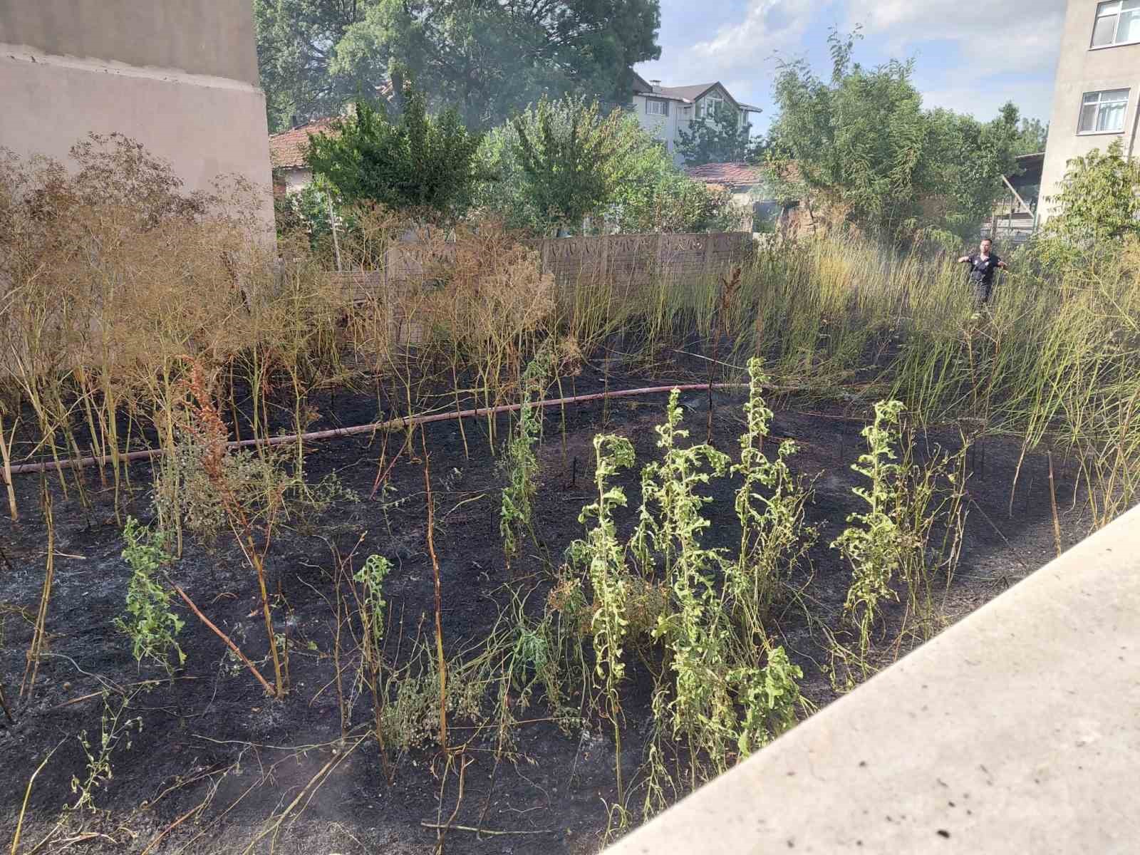 Muratlı’da boş arsada yangın paniği