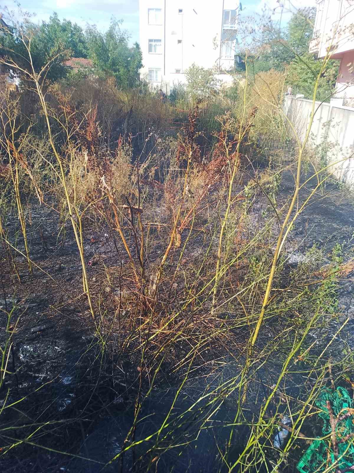 Muratlı&rsquo;da boş arsada yangın paniği
